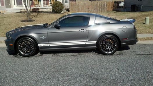 2013 Shelby GT500.jpg