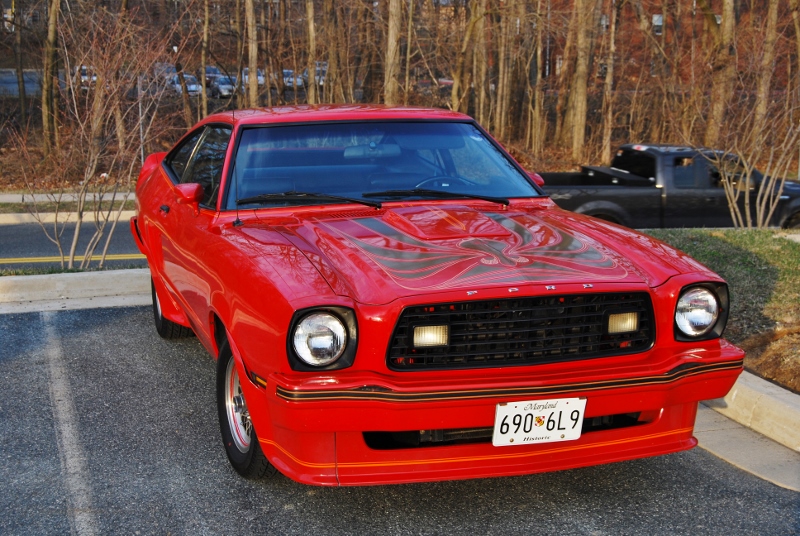 DSC_2788 (800x536).jpg