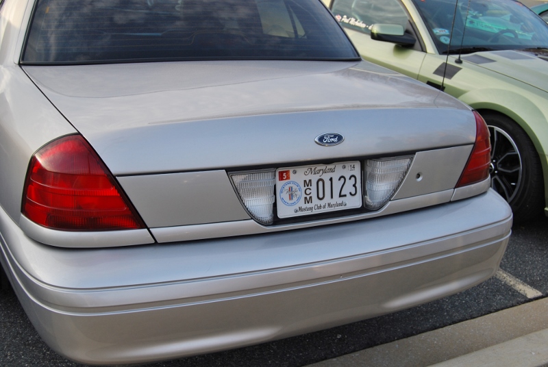 DSC_2778 (800x536).jpg