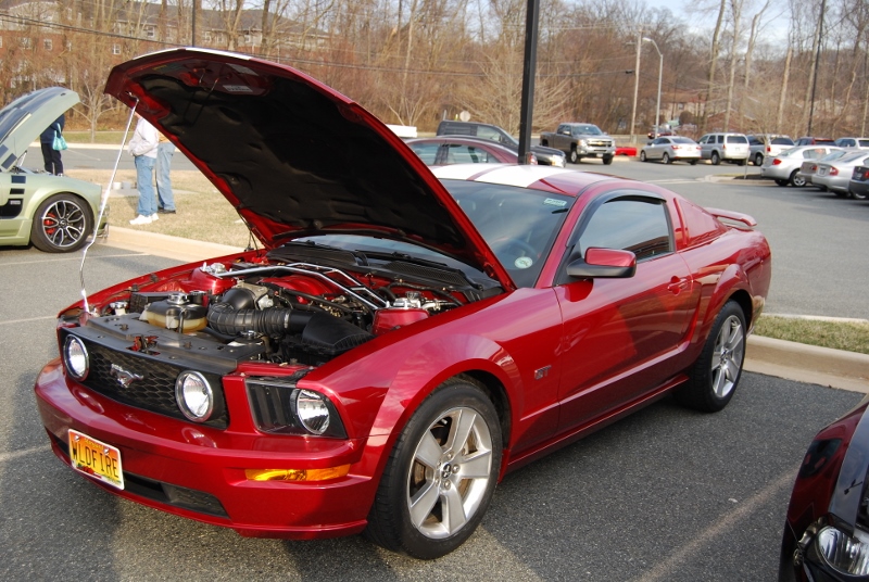 DSC_2743 (800x536) (2).jpg