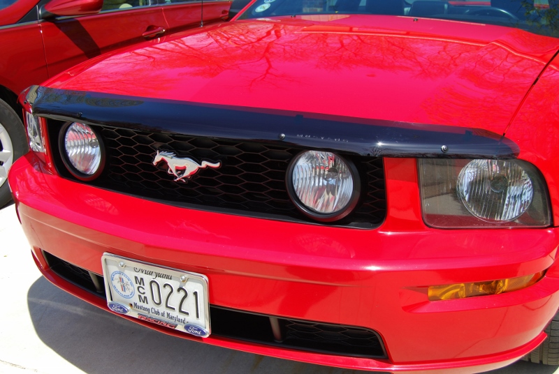 DSC_3123 (800x536).jpg