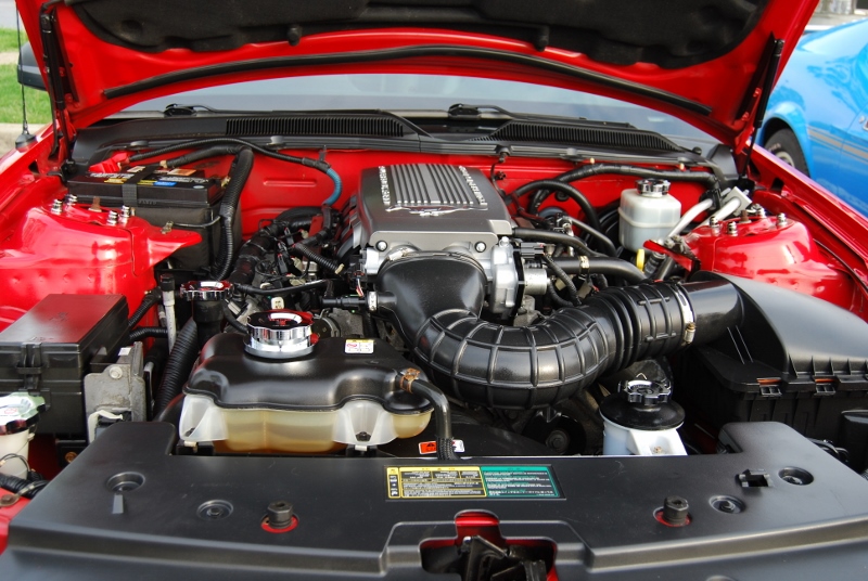 DSC_3311 (800x536).jpg