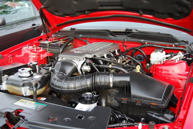 DSC_3310 (800x536).jpg