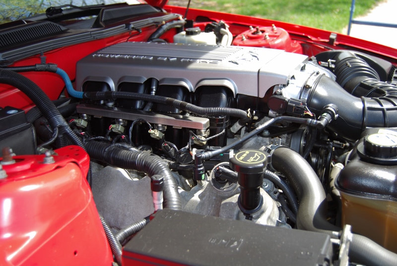 DSC_3120 (800x536).jpg