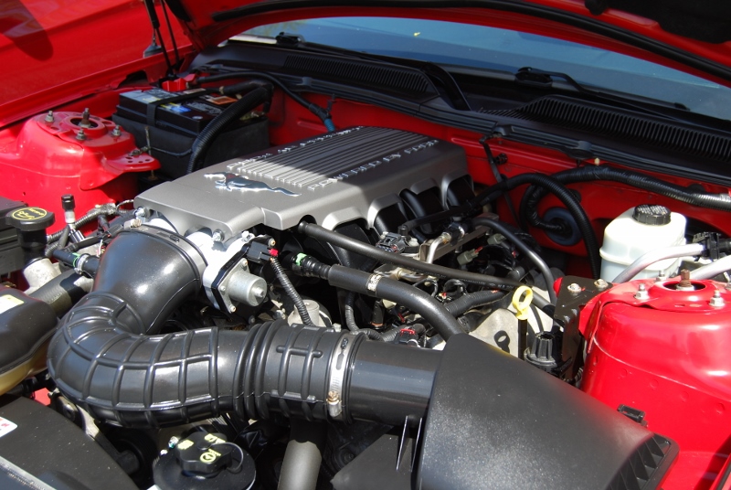 DSC_3116 (800x536).jpg