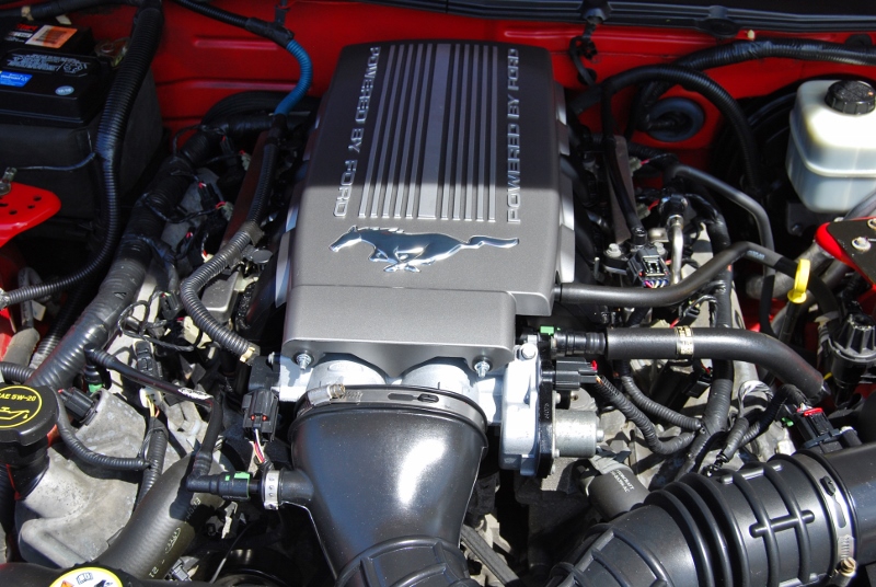 DSC_3113 (800x536).jpg