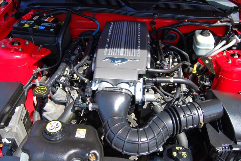DSC_3112 (800x536).jpg