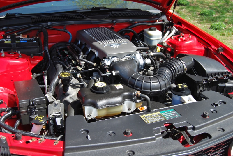 DSC_3109 (800x536).jpg