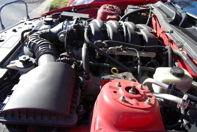 DSC_2687 (800x536).jpg