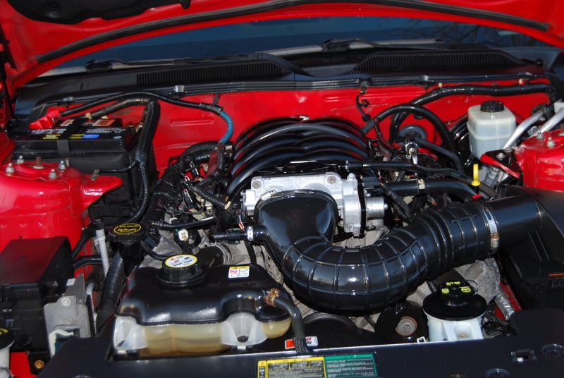 DSC_2710 (800x536).jpg