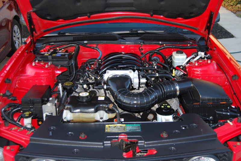 DSC_2707 (800x536).jpg
