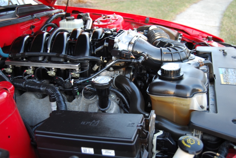 DSC_2720 (800x536).jpg