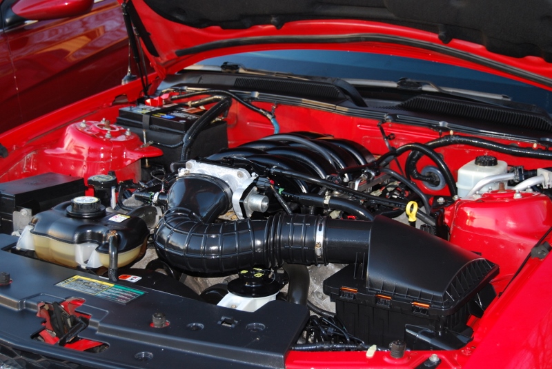 DSC_2711 (800x536).jpg