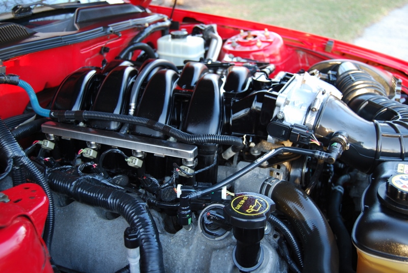 DSC_2695 (800x536).jpg