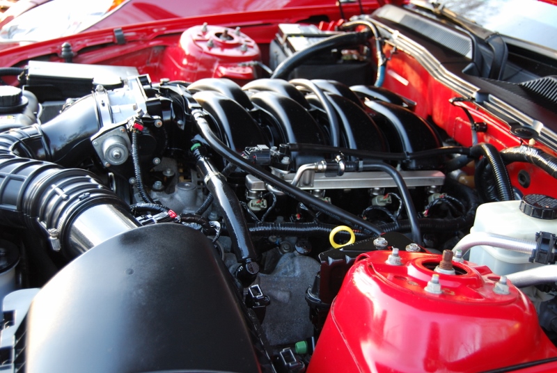 DSC_2714 (800x536).jpg
