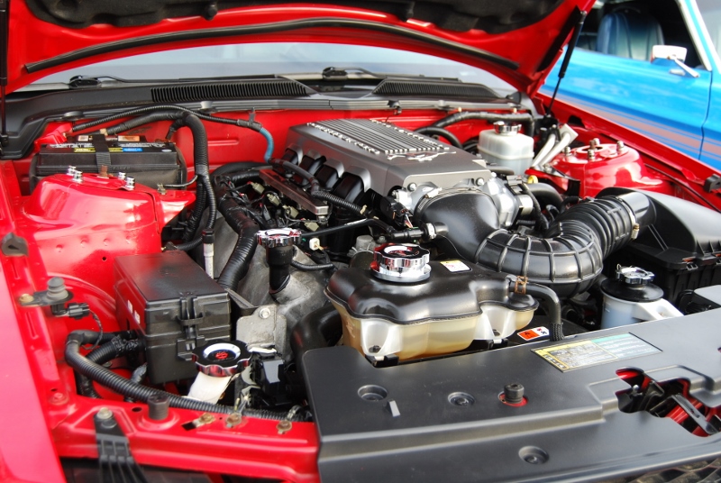 DSC_3312 (800x536).jpg