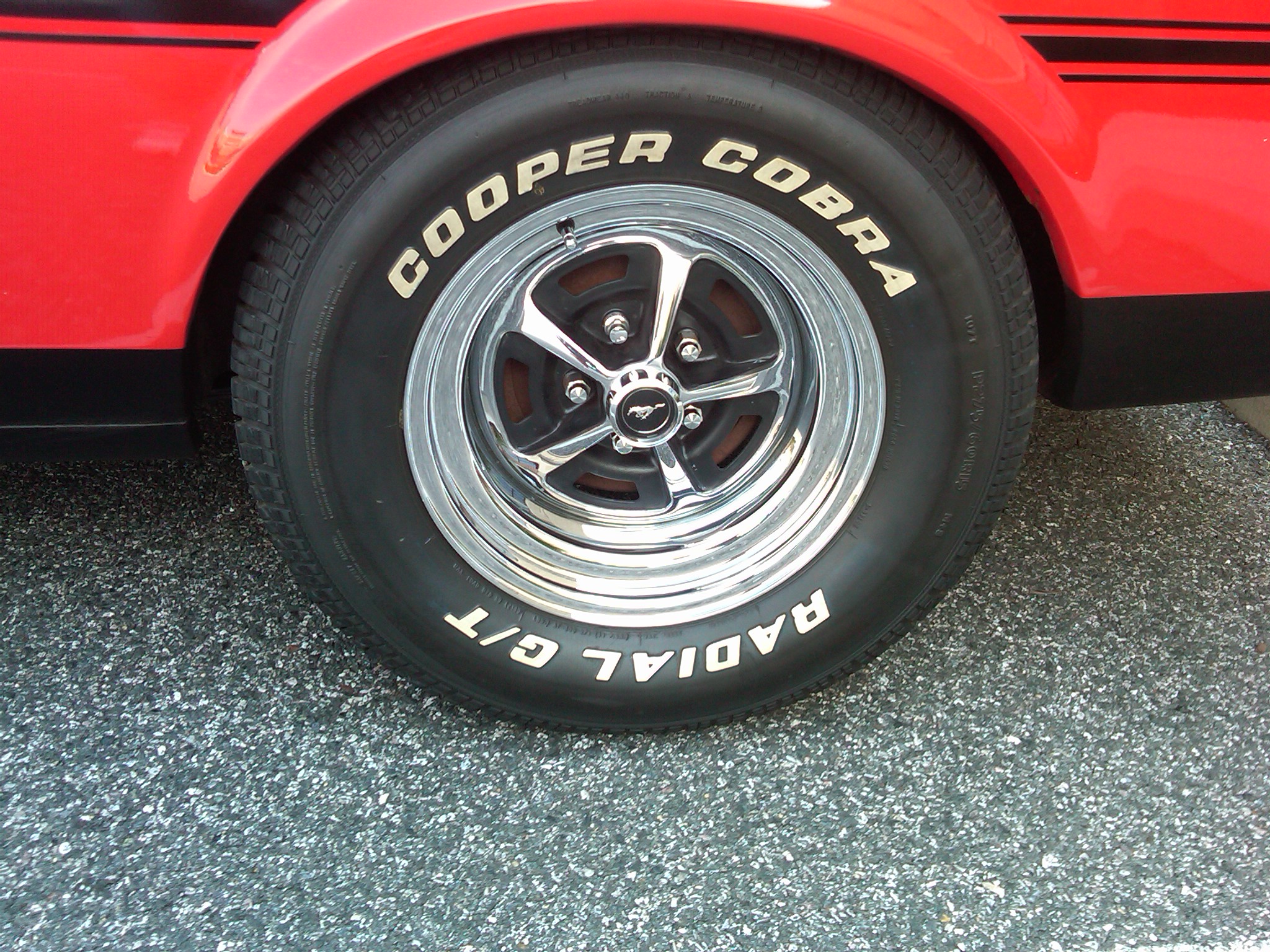 Magnum rear 1.jpg
