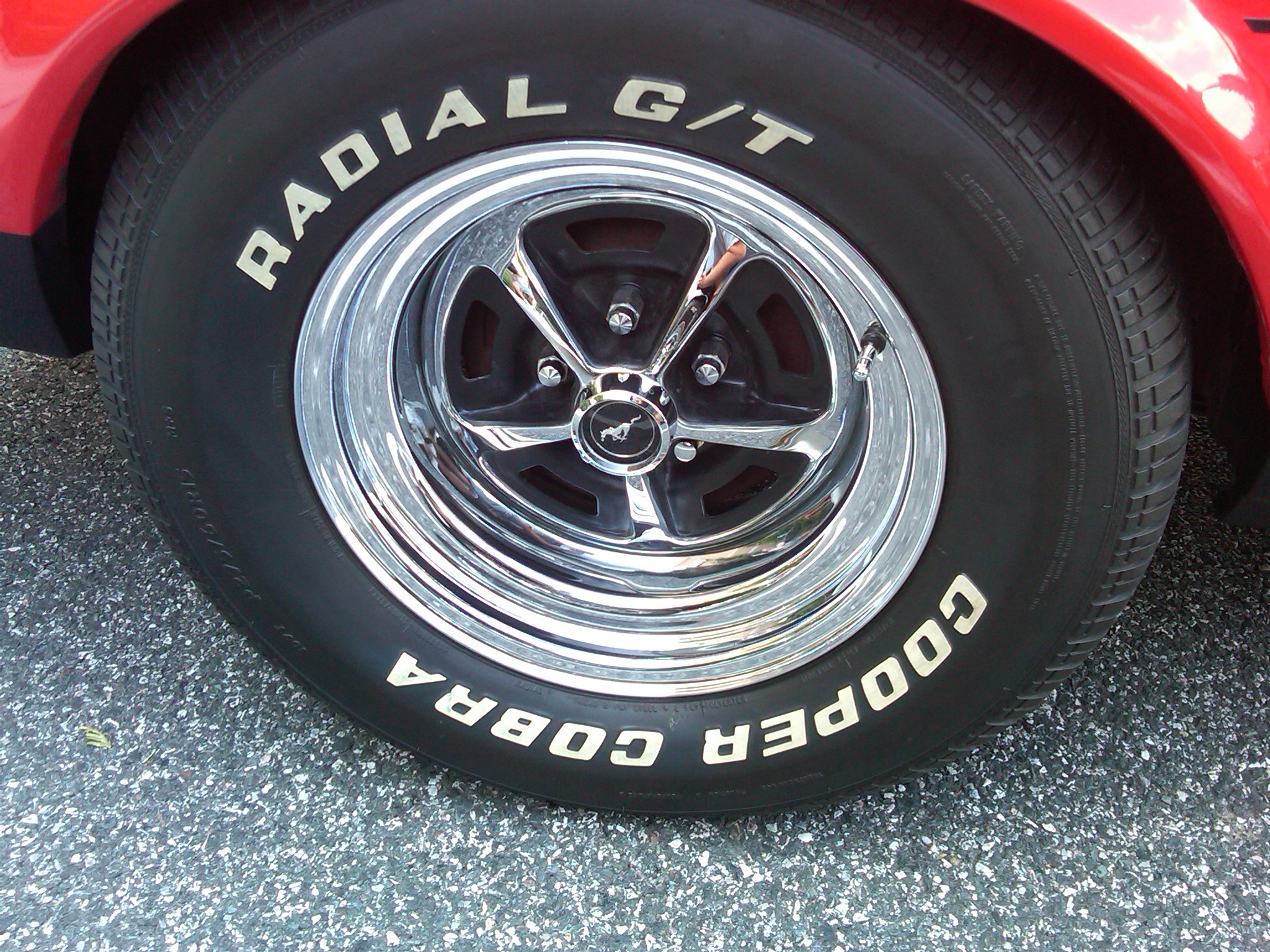 Magnum rear 2.jpg