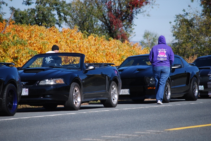 Catoctin Mountain Cruise 2014 118 (800x536).jpg