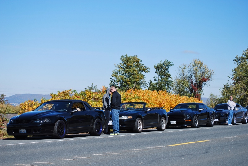 Catoctin Mountain Cruise 2014 106 (800x536).jpg