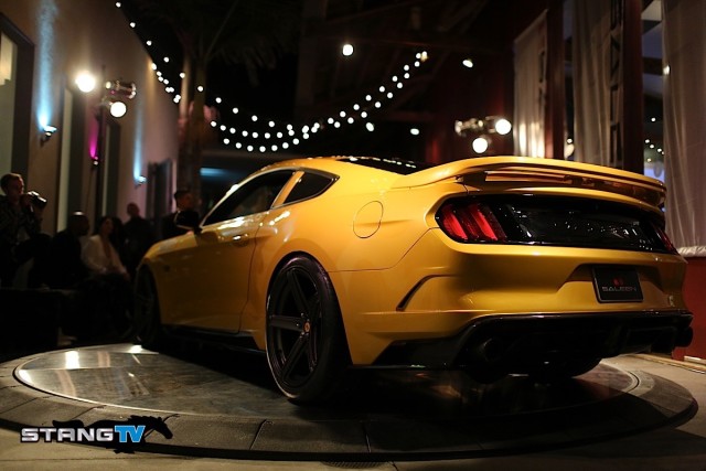 2015 saleen rear.jpg