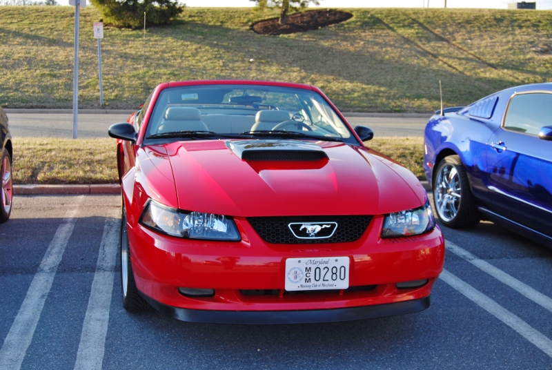 MCOM April 2015 Mtg 018 (800x536).jpg