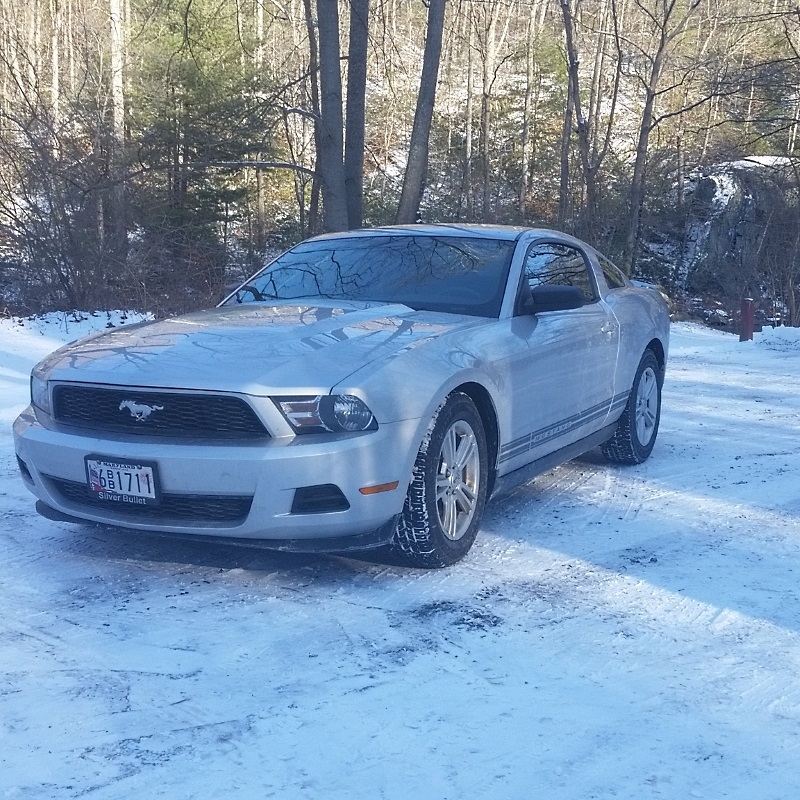 gregmustang.jpg