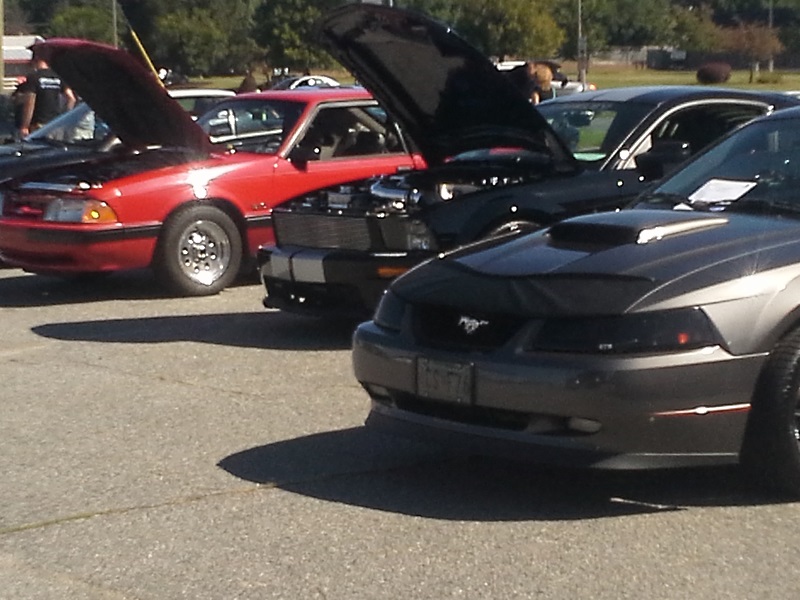 ccmustang-6.jpg