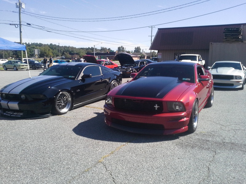 ccmustang-7.jpg