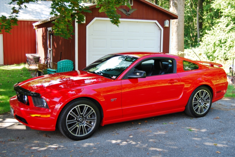 Carolyn's Croftgate Detail 2015 004 (800x536).jpg