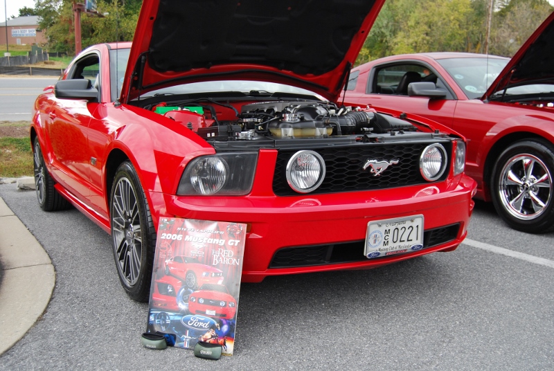 DSC_1880 (800x536).jpg