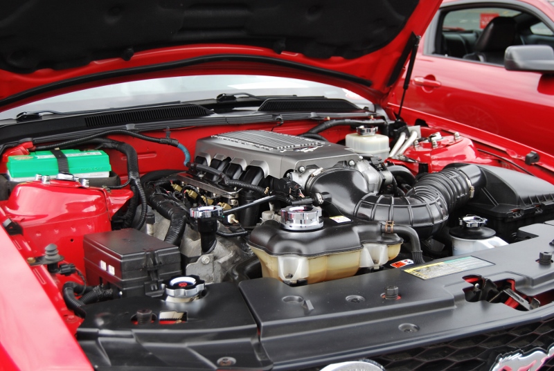 DSC_1883 (800x536).jpg