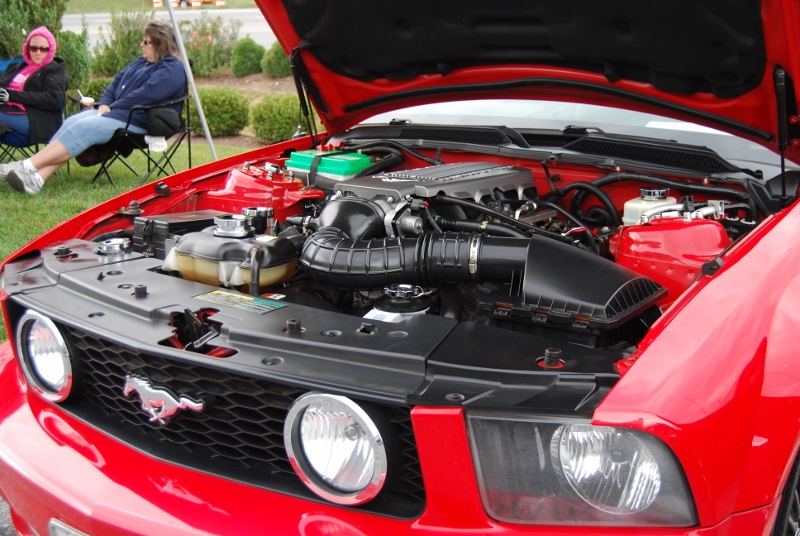 DSC_1885 (800x536).jpg