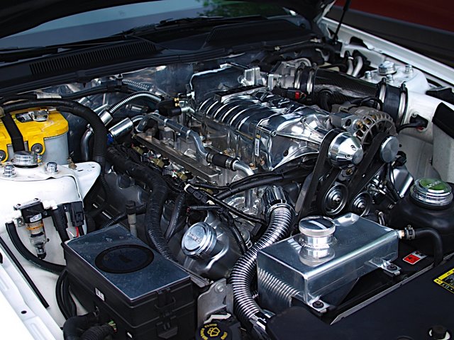 P5031386.JPG