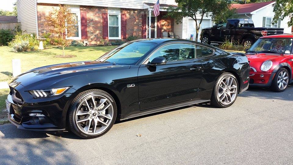 Mustang.jpg